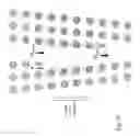 Fig. 28 - Devices and methods for enrichment and alteration of cells and other particles