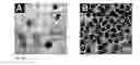 Fig. 58 - Devices and methods for enrichment and alteration of cells and other particles
