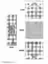Fig. 65 - Devices and methods for enrichment and alteration of cells and other particles