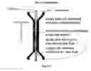 Fig. 87 - Devices and methods for enrichment and alteration of cells and other particles