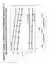 Fig. 13 - Kit for assessing mitochondrial toxicity