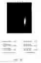Fig. 30 - Process for detecting or quantifying more than one nucleic acid in library via terminal attachment of non-inherent universal detection targets to nucleic acid copies produced thereby