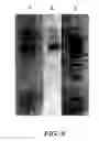 Fig. 10 - Open channel solid phase extraction systems and methods