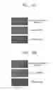 Fig. 06 - MICROARRAY SUBSTRATE, METHOD OF USE, AND PRODUCTS COMPRISING THE MICROARRAY SUBSTRATE