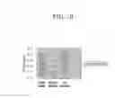 Fig. 07 - MICROARRAY SUBSTRATE, METHOD OF USE, AND PRODUCTS COMPRISING THE MICROARRAY SUBSTRATE