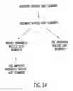 Fig. 44 - METHODS AND COMPOSITIONS FOR SYNTHESIS OF NUCLEIC ACID MOLECULES USING MULTIPLE RECOGNITION SITES