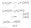 Fig. 47 - METHODS AND COMPOSITIONS FOR SYNTHESIS OF NUCLEIC ACID MOLECULES USING MULTIPLE RECOGNITION SITES