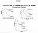 Fig. 03 - METHOD OF DETERMINING OUTCOME OF NON SMALL-CELL LUNG CANCER ACCORDING TO XRCC3 POLYMORPHISM