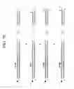 Fig. 19 - Rapid analysis of variations in a genome