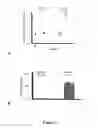 Fig. 06 - DETECTION OF PHOSPHORYLATED eIF2-alpha AS A DIAGNOSTIC TEST FOR EFFICACY AND SENSITIVITY OF TRANSLATION INITIATION INHIBITORS IN THE TREATMENT OF CANCER AND OTHER PROLIFERATIVE DISEASES