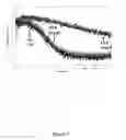 Fig. 08 - DETECTION OF PHOSPHORYLATED eIF2-alpha AS A DIAGNOSTIC TEST FOR EFFICACY AND SENSITIVITY OF TRANSLATION INITIATION INHIBITORS IN THE TREATMENT OF CANCER AND OTHER PROLIFERATIVE DISEASES