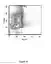 Fig. 11 - DETECTION OF PHOSPHORYLATED eIF2-alpha AS A DIAGNOSTIC TEST FOR EFFICACY AND SENSITIVITY OF TRANSLATION INITIATION INHIBITORS IN THE TREATMENT OF CANCER AND OTHER PROLIFERATIVE DISEASES