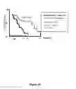 Fig. 16 - DETECTION OF PHOSPHORYLATED eIF2-alpha AS A DIAGNOSTIC TEST FOR EFFICACY AND SENSITIVITY OF TRANSLATION INITIATION INHIBITORS IN THE TREATMENT OF CANCER AND OTHER PROLIFERATIVE DISEASES