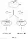 Fig. 16 - Identification of aging genes through large-scale analysis