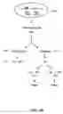 Fig. 24 - Identification of aging genes through large-scale analysis