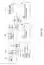 Fig. 07 - Methods For Rapid Genotype Screening