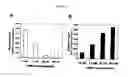 Fig. 06 - Cell migration assay