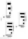 Fig. 07 - Cell migration assay