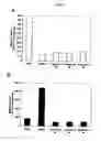 Fig. 08 - Cell migration assay
