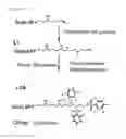 Fig. 02 - Separation matrix and method of purification