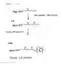 Fig. 04 - Separation matrix and method of purification