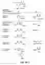 Fig. 08 - Novel antibacterial agents