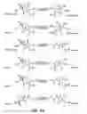Fig. 12 - Novel antibacterial agents