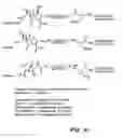 Fig. 15 - Novel antibacterial agents