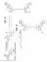 Fig. 21 - Novel antibacterial agents