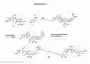 Fig. 25 - Novel antibacterial agents