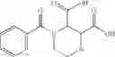 Fig. 255 - Novel antibacterial agents