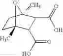 Fig. 258 - Novel antibacterial agents