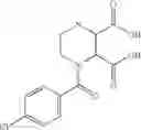 Fig. 261 - Novel antibacterial agents