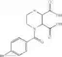 Fig. 268 - Novel antibacterial agents