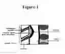 Fig. 02 - Method and kits for detecting cerebrospinal fluid in a sample
