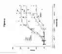 Fig. 26 - Methods Of Screening Compositions For G Protein-Coupled Receptors Aganist Agonists