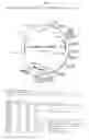 Fig. 14 - GPCR-expressing cell lines