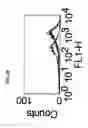 Fig. 23 - GPCR-expressing cell lines
