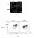 Fig. 08 - Methods and compositions for detecting receptor-ligand interactions in single cells