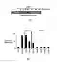 Fig. 13 - Methods and compositions for detecting receptor-ligand interactions in single cells