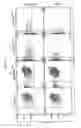 Fig. 18 - Methods and compositions for detecting receptor-ligand interactions in single cells