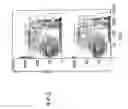 Fig. 19 - Methods and compositions for detecting receptor-ligand interactions in single cells