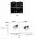 Fig. 08 - Methods and compositions for detecting receptor-ligand interactions in single cells