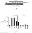 Fig. 13 - Methods and compositions for detecting receptor-ligand interactions in single cells