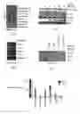 Fig. 15 - Methods and compositions for detecting receptor-ligand interactions in single cells