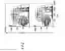 Fig. 19 - Methods and compositions for detecting receptor-ligand interactions in single cells