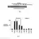 Fig. 13 - Methods and compositions for detecting receptor-ligand interactions in single cells