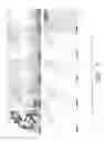 Fig. 19 - Pain signaling molecules