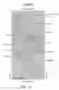 Fig. 27 - Pain signaling molecules