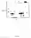 Fig. 05 - Phosphate-binding protein, pharmaceutical compositions containing same and use thereof